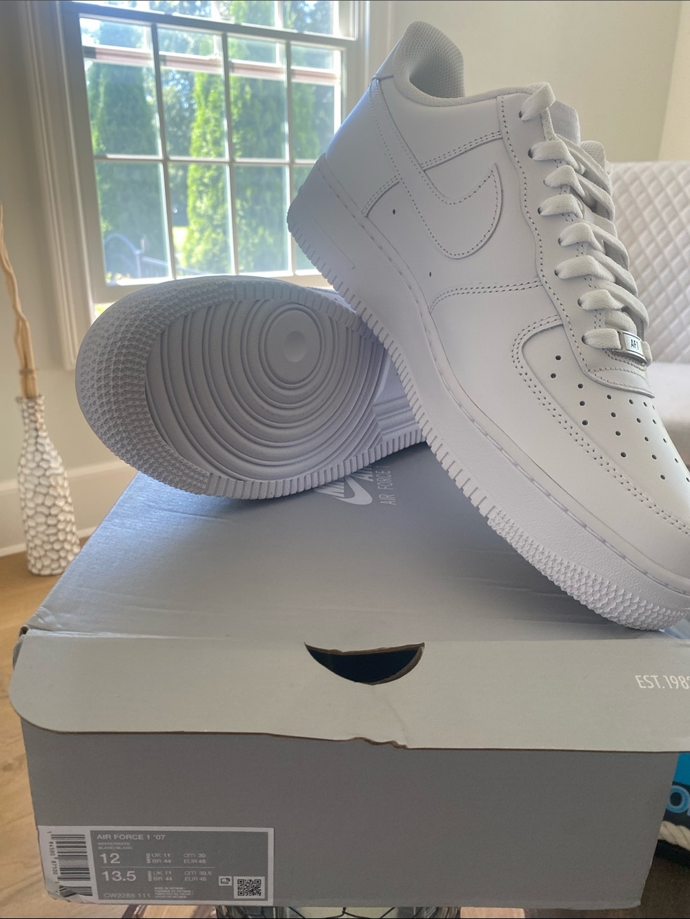 Nike Men’s White Low-Top Sneakers